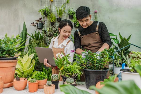Ladang Cuan Baru: 10 Hobi Yang Menghasilkan Uang Dari Rumah
