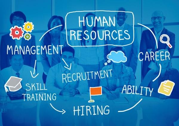 Mengenal Apa itu Human Resource Management System